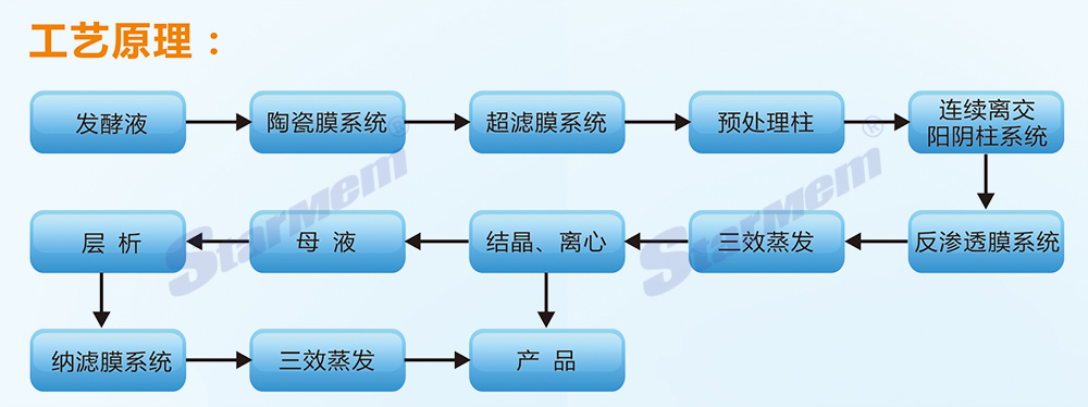 發(fā)酵液澄清 提純脫鹽濃縮工藝流程a.jpg